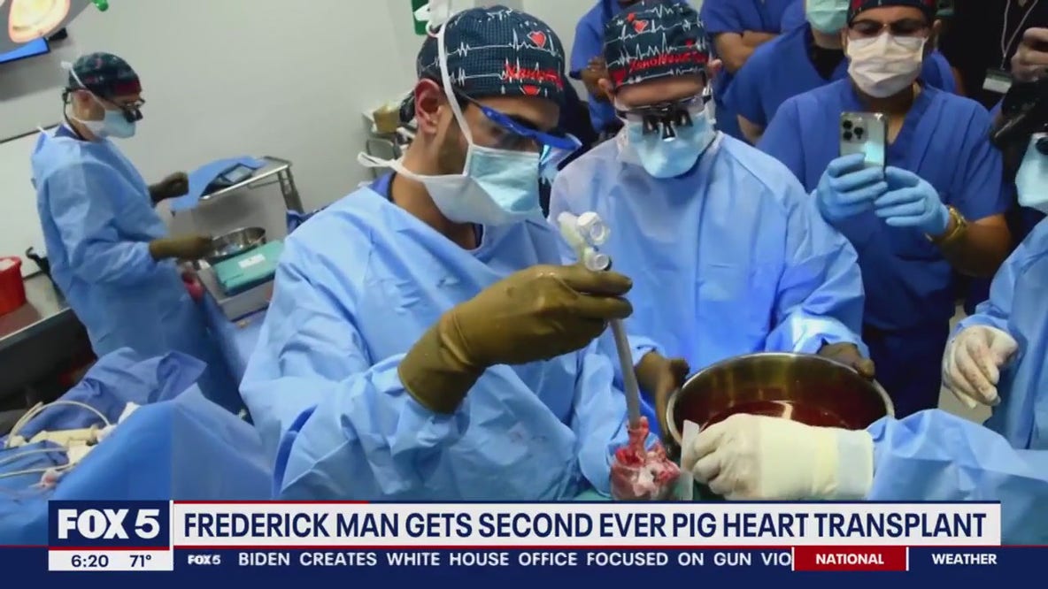 Frederick man gets second ever pig heart transplant